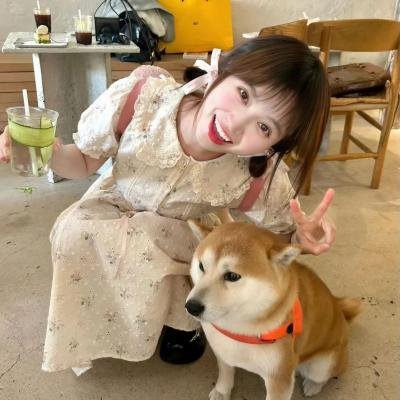 金色的梦
