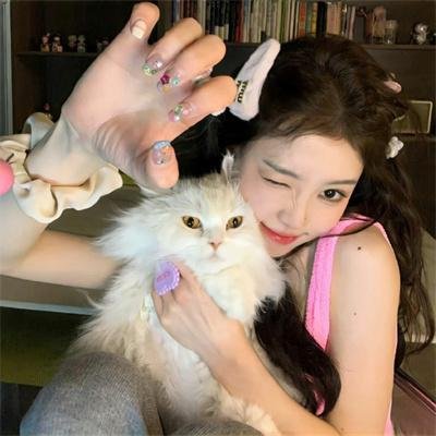 功夫熊猫之盖世五侠的秘密